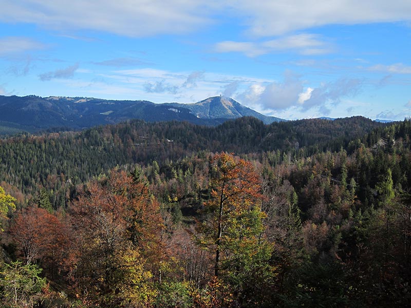 geissangerkogel